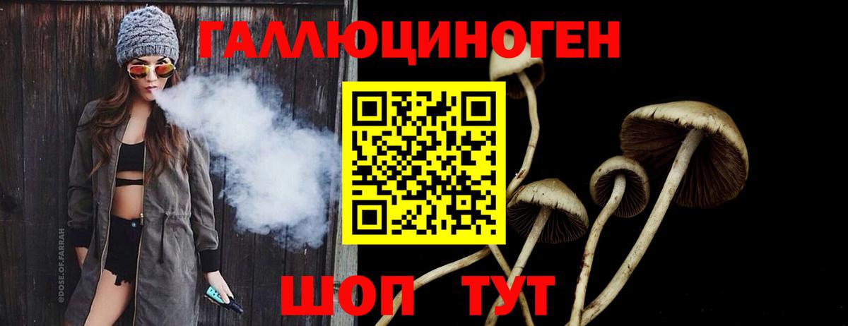 Медногорск  Псилоцибиновые грибы ЛСД  Вход с VPN  Псилоцибиновые грибы прущие грибы 